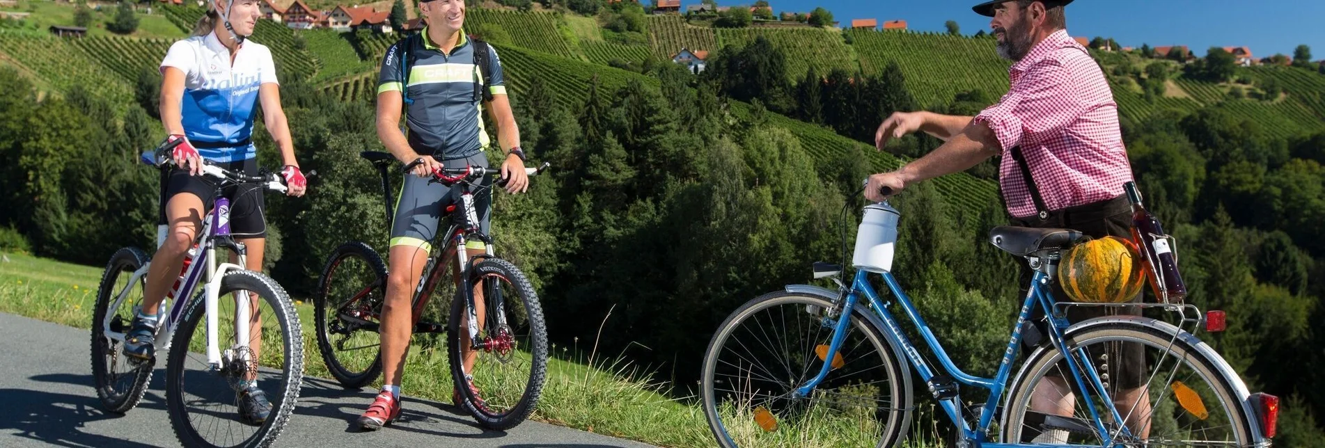 Radfahren Etappe 02 Weinland Steiermark Radtour Deutschlandsberg - Lieboch/Söding - Touren-Impression #1 | © Steiermark Tourismus/Harry Schiffer