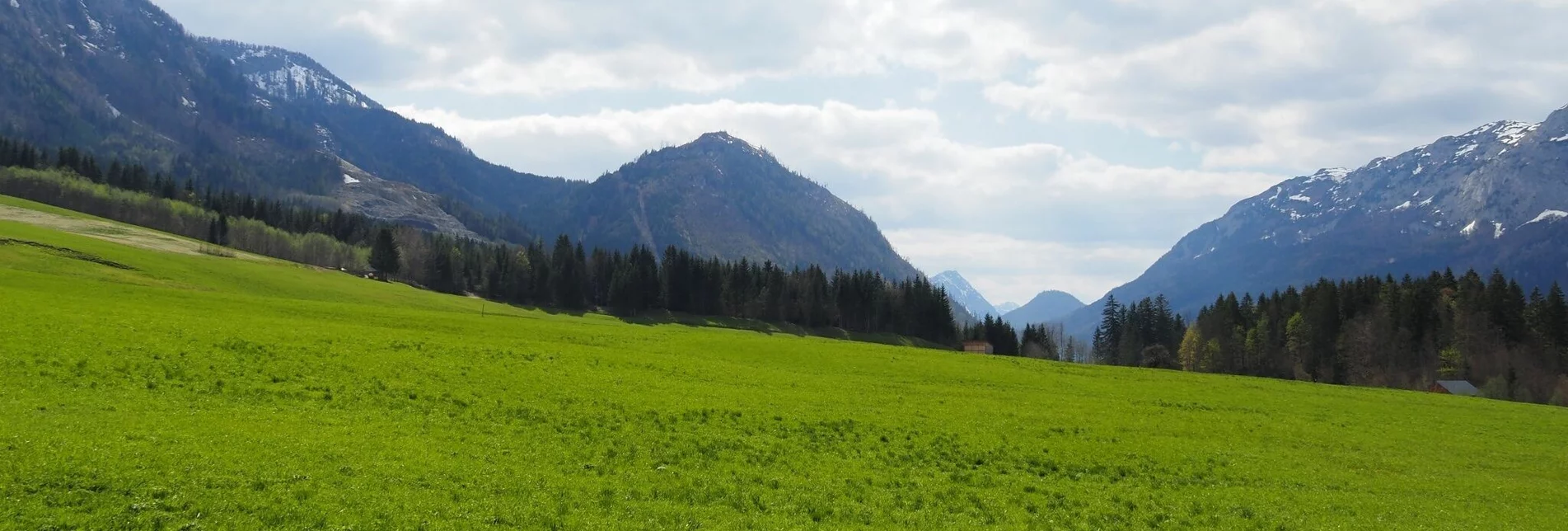 Wanderung Kräuterrundweg in Gößl - Touren-Impression #1 | © Ausseerland