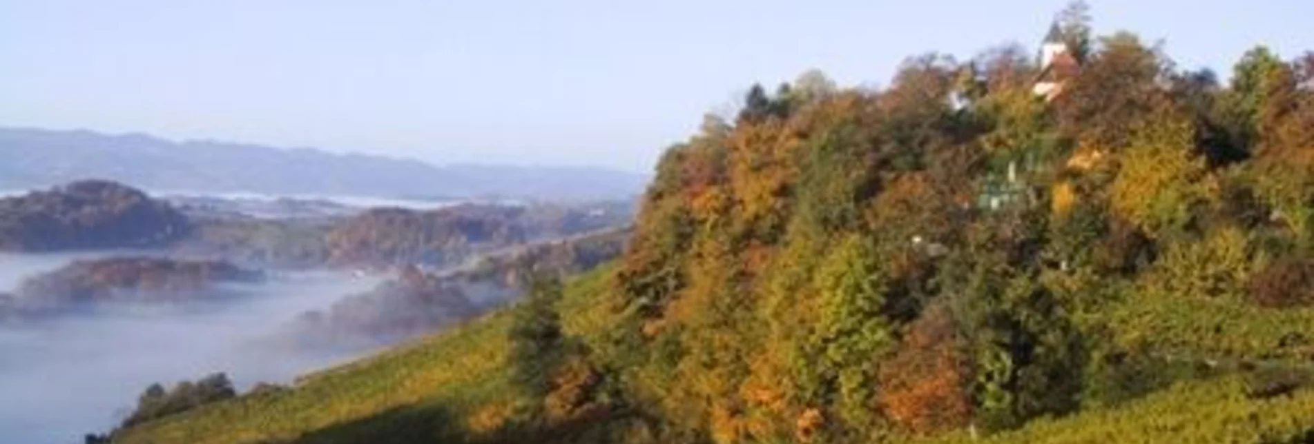 Hiking route Berghausener Rundwanderweg 2 - Touren-Impression #1 | © TVB Südsteiermark/Freundorfer