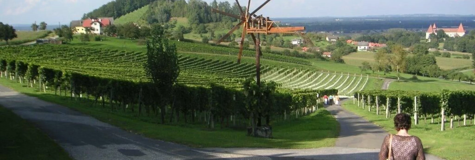 Hiking route Rebenwanderweg Spielfeld - Touren-Impression #1 | © Gemeinde Spielfeld