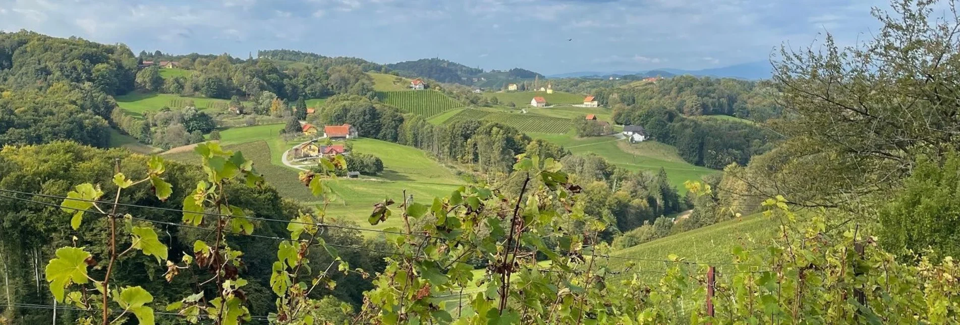 Hiking route Berghausner hiking tour 1 - Touren-Impression #1 | © TVB Südsteiermark/Brigitte Weihs