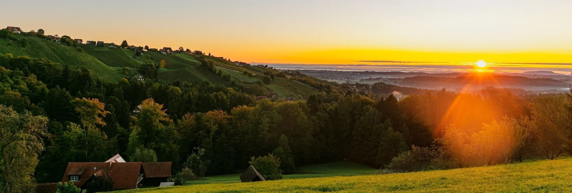 Hiking route Genuss-Schilchern DORT (mittel) - Touren-Impression #1 | © TVB Südsteiermark/Foto Augenblick