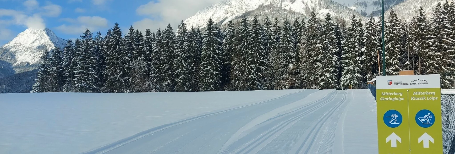 Ski nordic skating Mitterberg Skating XC Trail - Touren-Impression #1 | © Erlebnisregion Schladming-Dachstein
