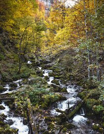 durch den hartelsgraben über's sulzkar zur hesshütte und nach johnsbach_img_94840918 | © TV Gesäuse | Tourismusverband Gesäuse | © TV Gesäuse