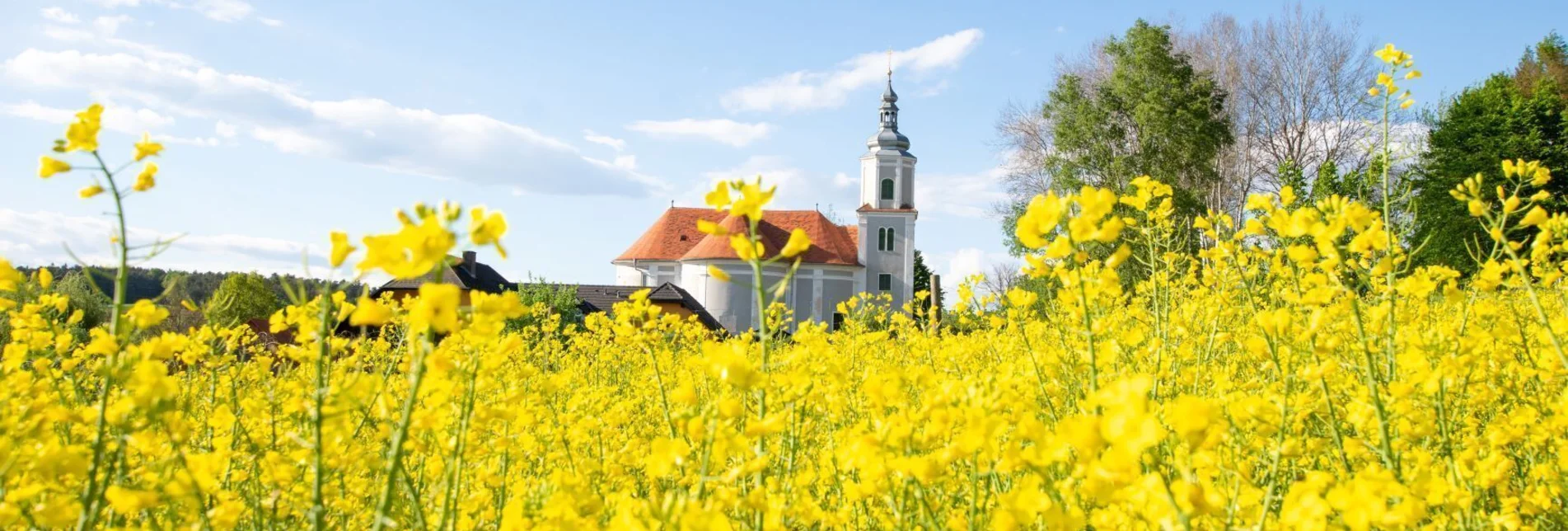 Bike Riding Lindeggerweg - Touren-Impression #1 | © Kurkommission Bad Blumau