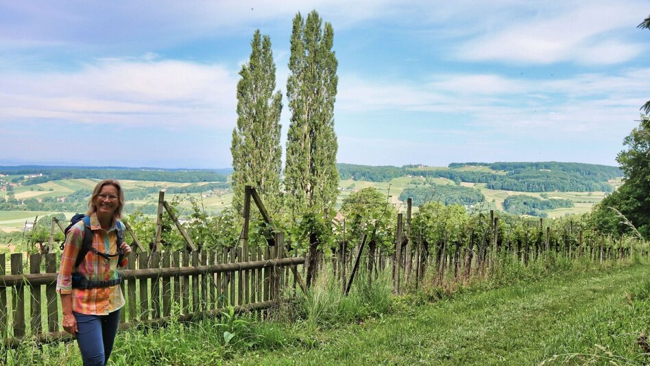 Hiking Route TAU - path of the vineyards (TAU - Weg der Riede) - Touren-Impression #2.7 | © Thermen- & Vulkanland
