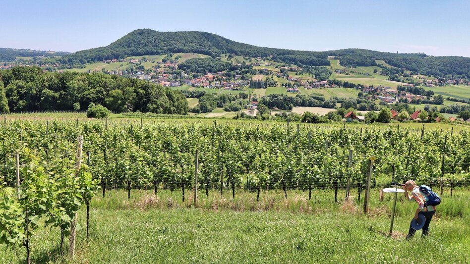 Hiking Route TAU - path of the vineyards (TAU - Weg der Riede) - Touren-Impression #2.14 | © Thermen- & Vulkanland