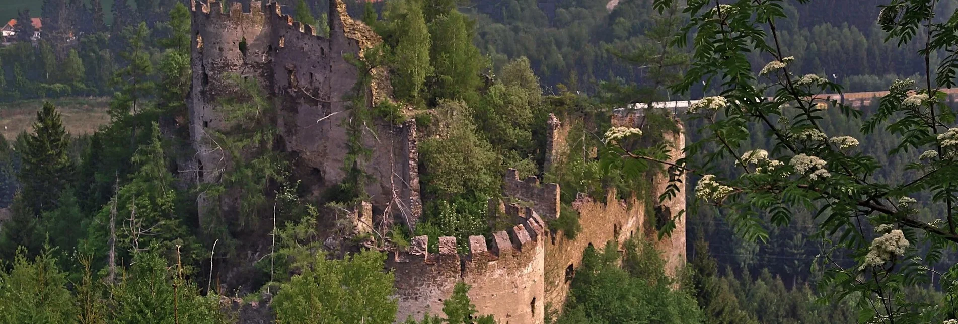 Wanderung Von der geschichtsträchtigen Ruine Reifenstein  zur Sauerbrunnquelle bei Schloss Thalheim - Touren-Impression #1 | © Markus Beren