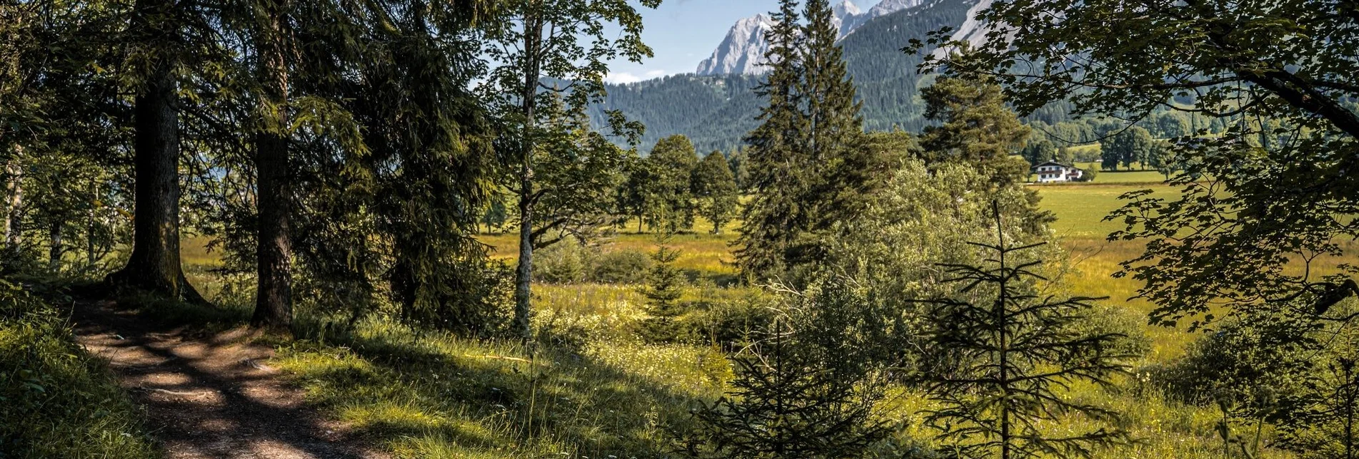 Wanderung Kulmbergrundweg - Touren-Impression #1 | © Erlebnisregion Schladming-Dachstein