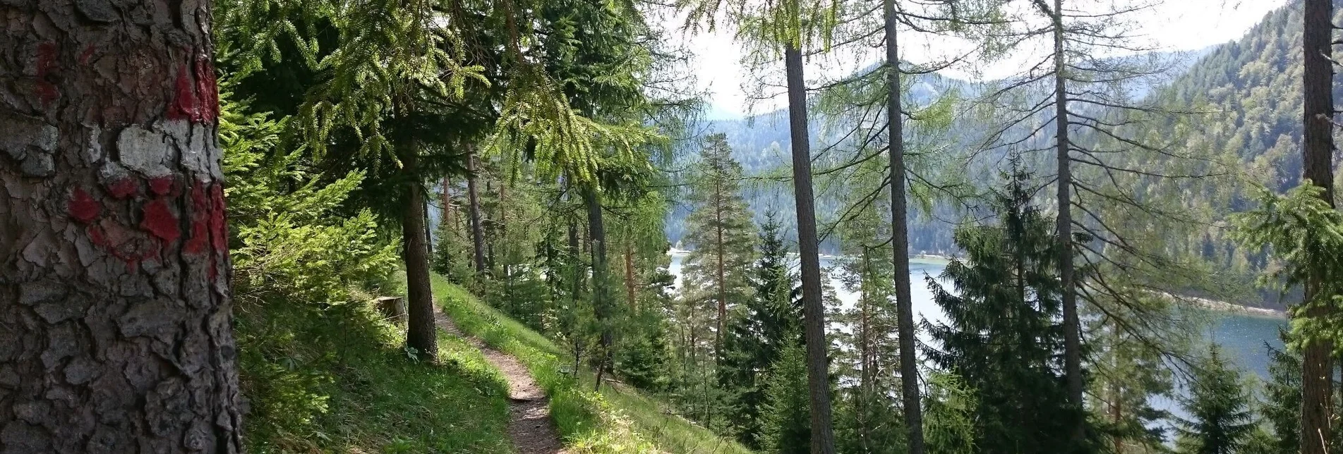 Hiking route Gemeindealpe - Touren-Impression #1 | © TV Hochsteiermark