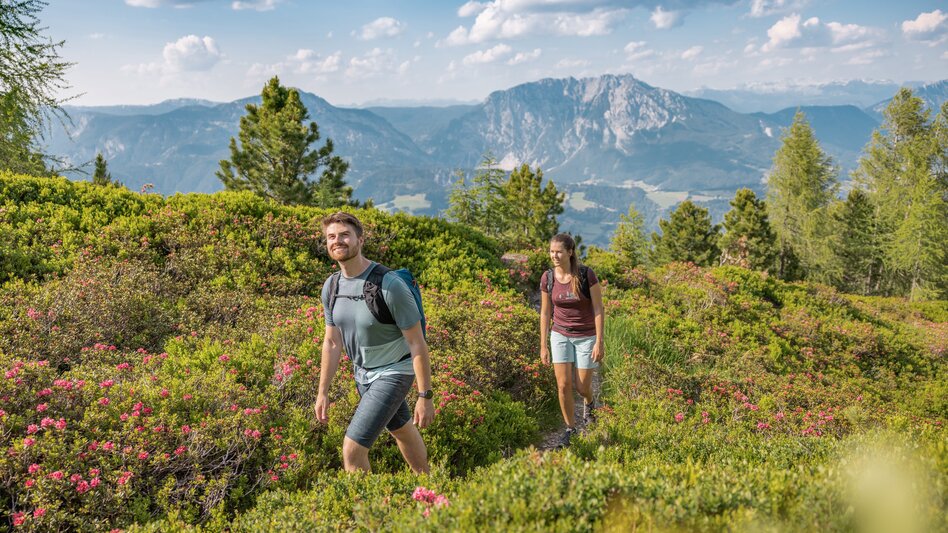 Hiking Route Pleschnitzzinken 2.112 m - Touren-Impression #2.6 | © Erlebnisregion Schladming-Dachstein