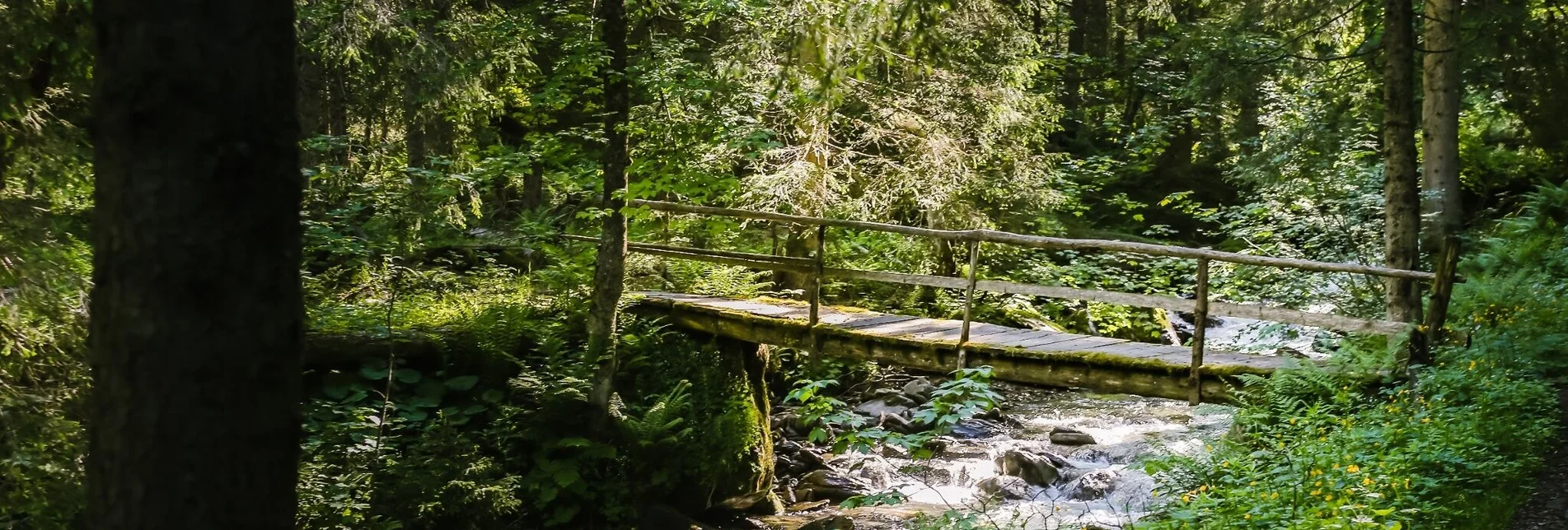 Hiking route To the Lärchkar Alm and Stalla Alm - Touren-Impression #1 | © Tourismusverband Grimming-Donnersbachtal