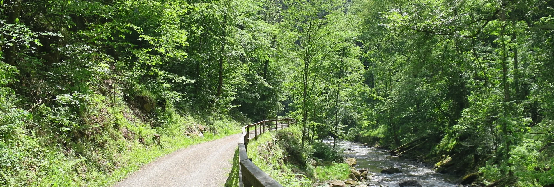 Bike Riding Feistritztalradweg R8 - Touren-Impression #1 | © Oststeiermark Tourismus