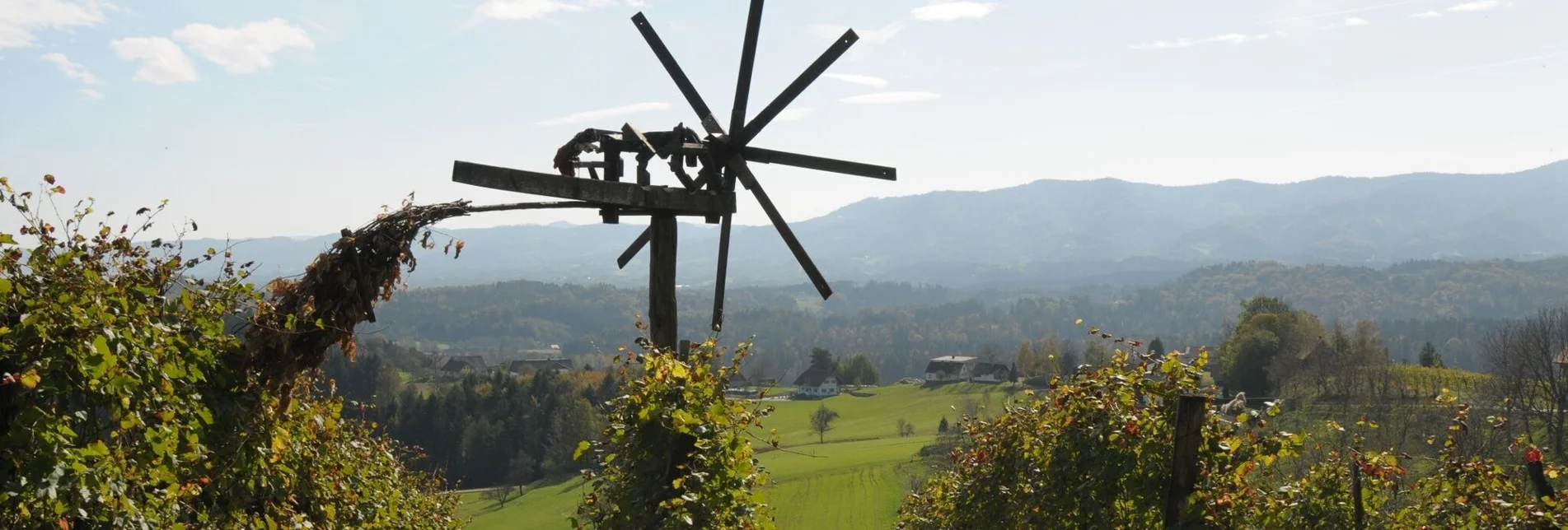 Hiking route Weingartenweg - Touren-Impression #1 | © TV Südsteiermark