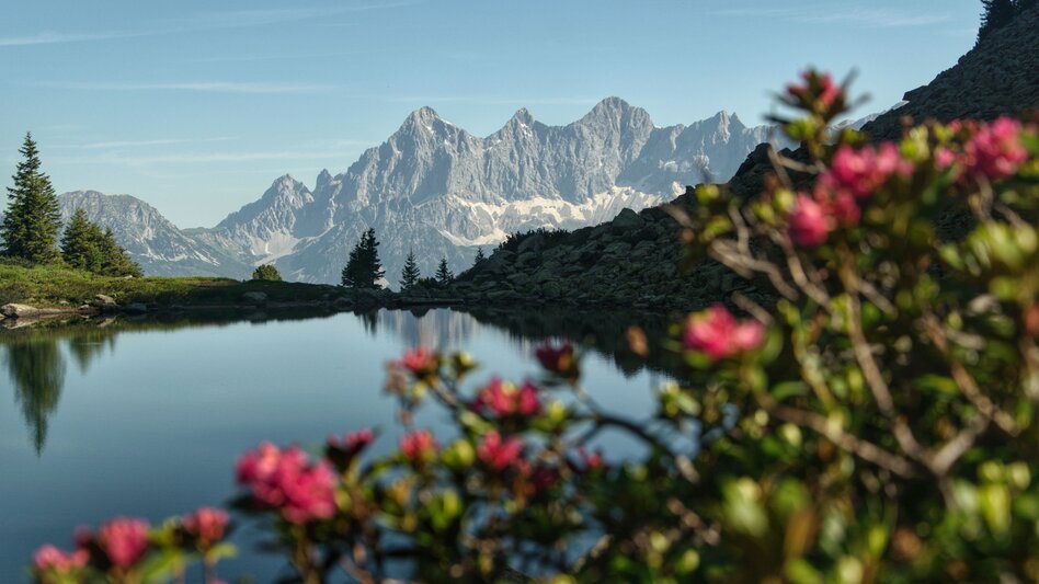 Hiking Route From the Reiteralm to famous Mirror Lake - Touren-Impression #2.3 | © Erlebnisregion Schladming-Dachstein