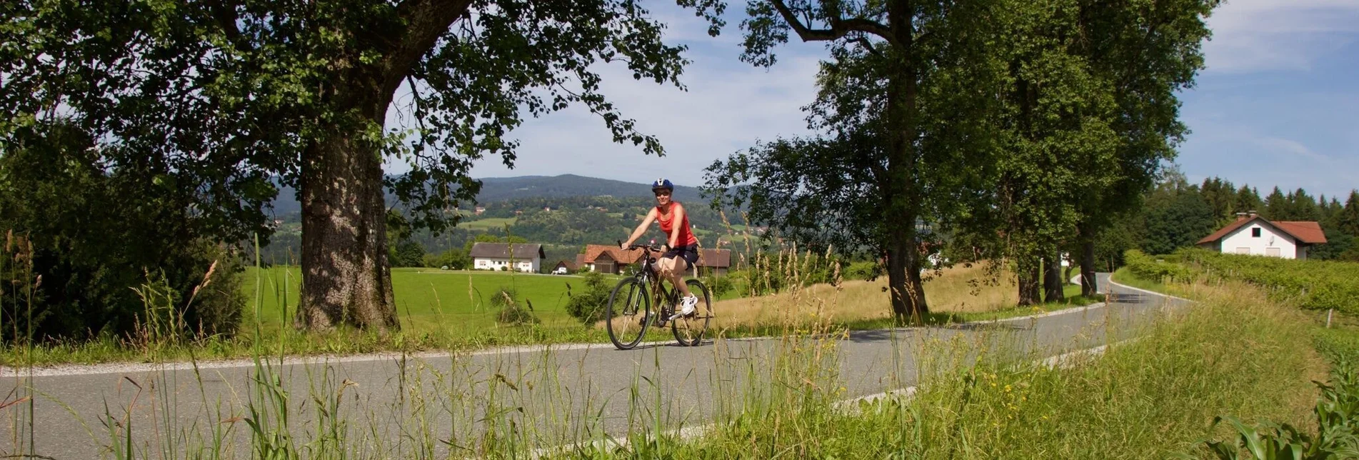 Radfahren 3-Märkte-Tour - Touren-Impression #1 | © Region Graz