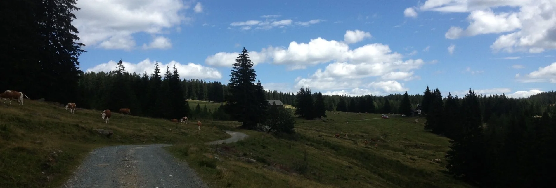 Wanderung Winkelwanderung: Von Modriach-Winkel auf die Hebalm - Touren-Impression #1 | © Community