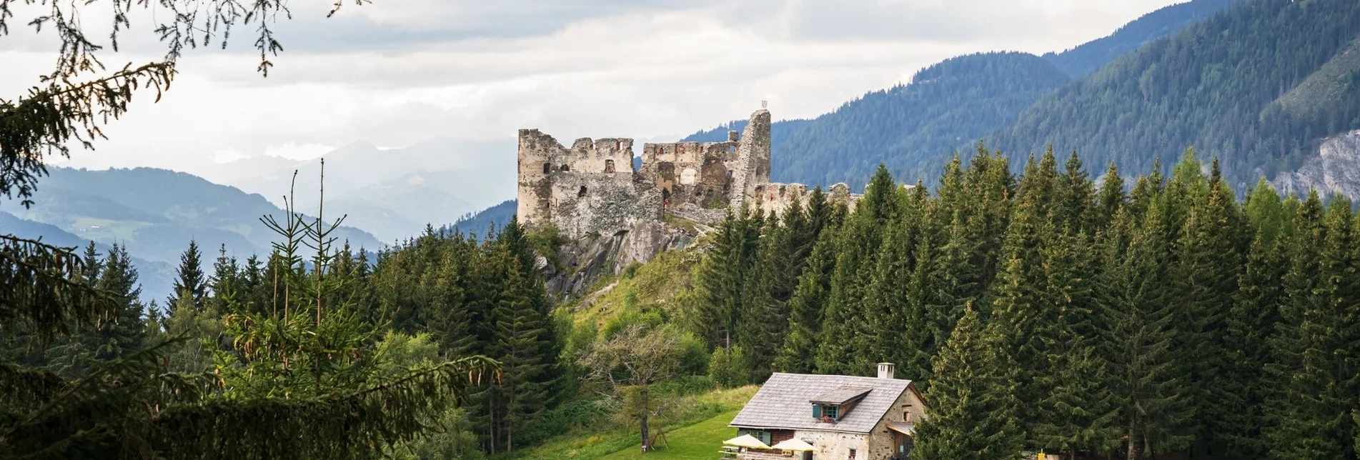 Theme path Via Natura Stage 6: People and Plants - Touren-Impression #1 | © Tourismusverband Murau