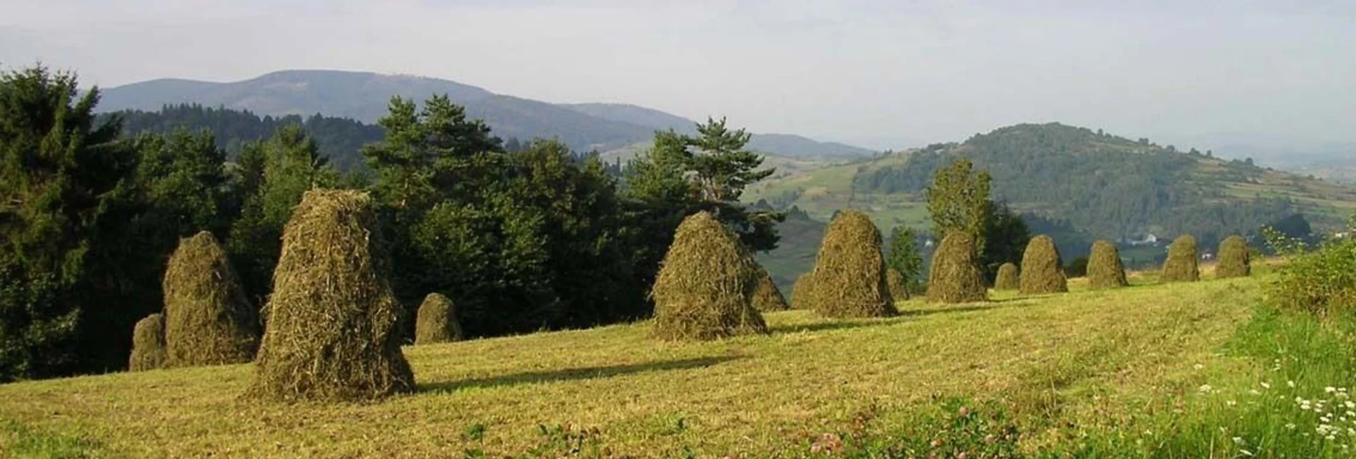 Themen- und Lehrpfad Via Natura Etappe 8: Arbeiten im Einklang mit der Natur - Touren-Impression #1 | © Tourismusverband Murau