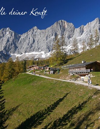 Almgebiet Brandalm | Tourismusverband Ramsau am Dachstein | © Erlebnisregion Schladming-Dachstein