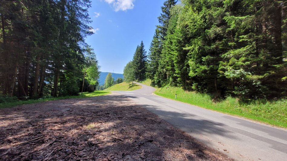 Hiking Route Reinischwirt - Reinischkogel - circular route - Touren-Impression #2.3 | © TVB Südsteiermark/Irene Löschnig