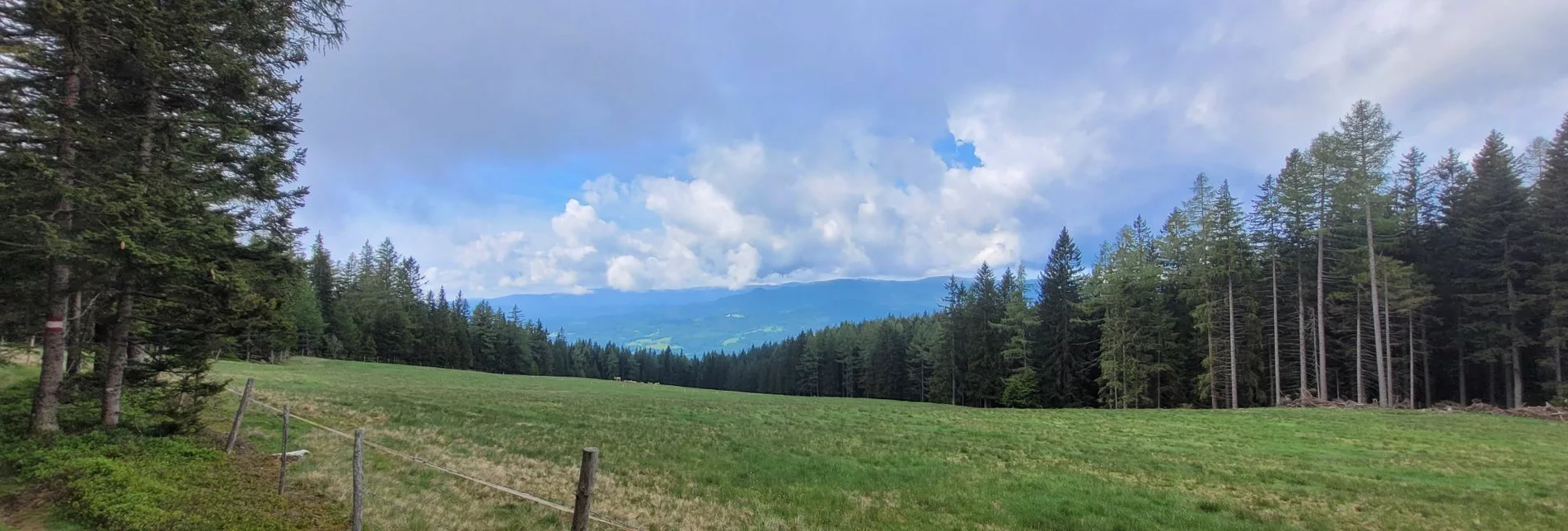 Wanderung Absetzrunde über Stainzerwald - Weg Nr. A1 - Touren-Impression #1 | © TVB Südsteiermark/Irene Löschnig