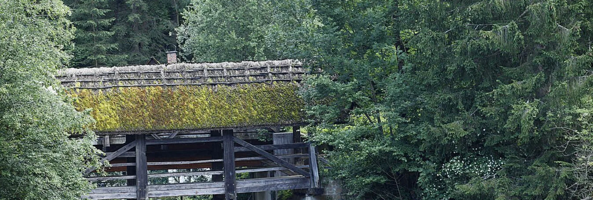 Pilgrim Walk 4. Etappe: Jakobsweg Weststeiermark - Touren-Impression #1 | © TV Lipizzanerheimat