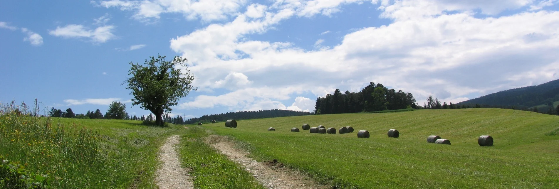 Hiking route Herlwirtweg - Touren-Impression #1