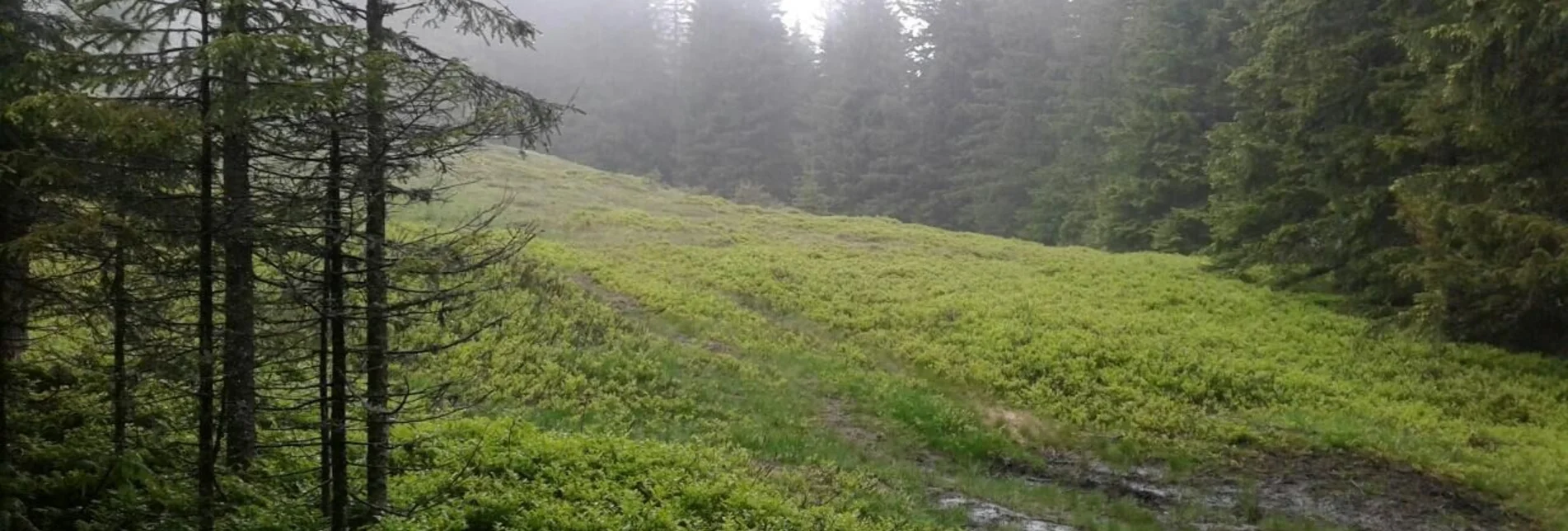 Hiking route Großofen circular hike - Touren-Impression #1 | © Community