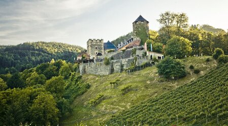 Burg Deutschlandsberg mit Blick auf den Weingarten des Burghügels | © TVB/Südsteiermark/Lupi Spuma | Lupi Spuma | © TVB/Südsteiermark/Lupi Spuma