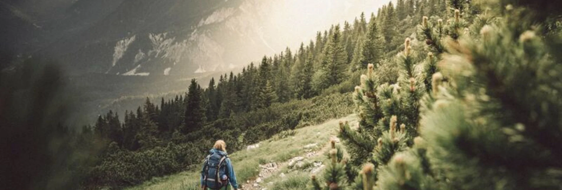 Mountain Hike Via the Tamischbach to the Ennstalerhütte and the Tamischbachturm - Touren-Impression #1 | © TV Gesäuse