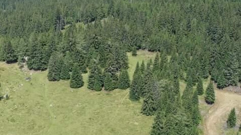 Hiking Route Modriacher Höhenweg - Touren-Impression #2.5 | © TV Steirische Rucksackdörfer