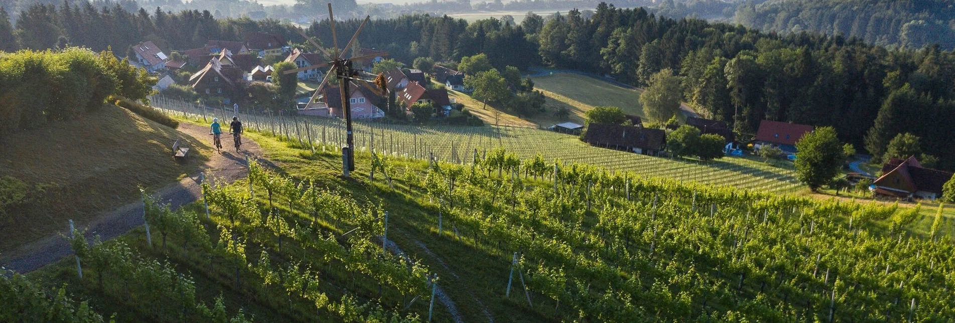 Radfahren Ölspur-große Familientour Nr. 727 - Touren-Impression #1 | © TVB Südsteiermark - Schilcherland Steiermark