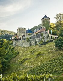 Burg Deutschlandsberg mit Blick auf den Weingarten des Burghügels | © TVB/Südsteiermark/Lupi Spuma | Lupi Spuma | © TVB/Südsteiermark/Lupi Spuma