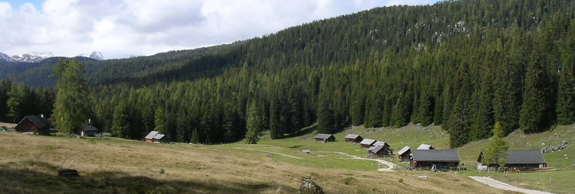 Hiking route Hike through forest and alpine pastures from the Stoderzinken to the Viehbergalm - Touren-Impression #1 | © Erlebnisregion Schladming-Dachstein