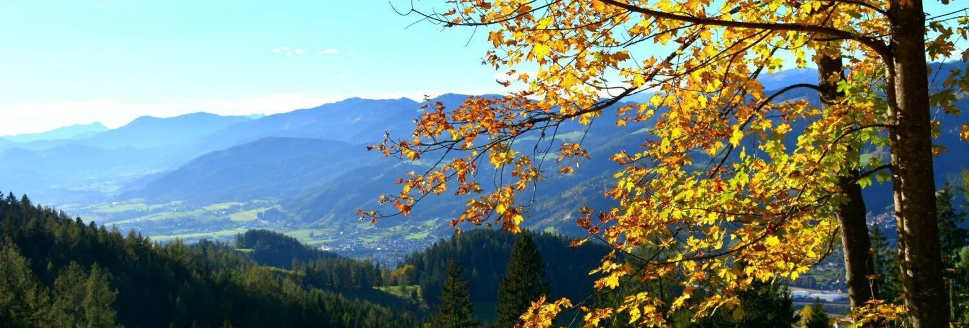 Mountainbike K2 - Suppenberg-Tour (Mountainbikestrecke Kindberg - Touren-Impression #1 | © Berggasthof Ochnerbauer