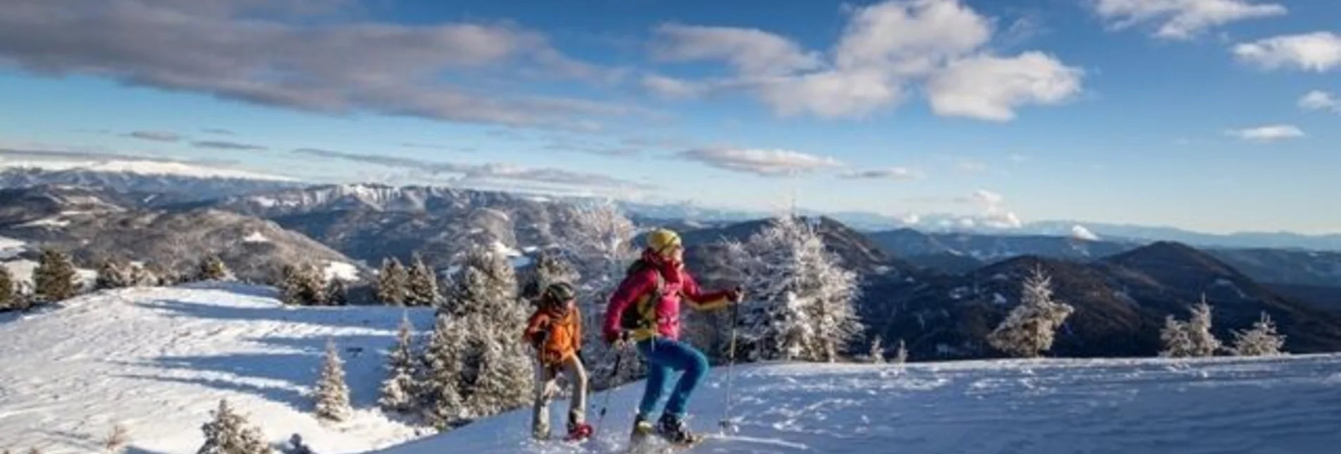 Winterwandern Zirben-Panoramaweg - Touren-Impression #1 | © Tourismusverband Murau