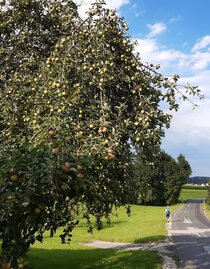2020_3-Castles-Hiking-Trail_Grafendorf | © Oststeiermark Tourismus | WEGES | © Oststeiermark Tourismus