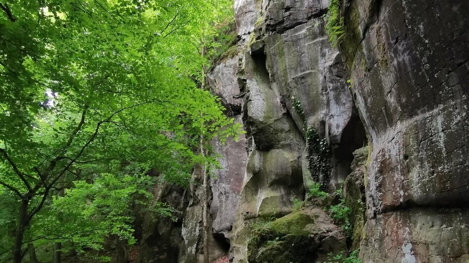 Hiking Route 3 Kogel trail (3-Kogel-Weg) - Touren-Impression #2.13 | © Community