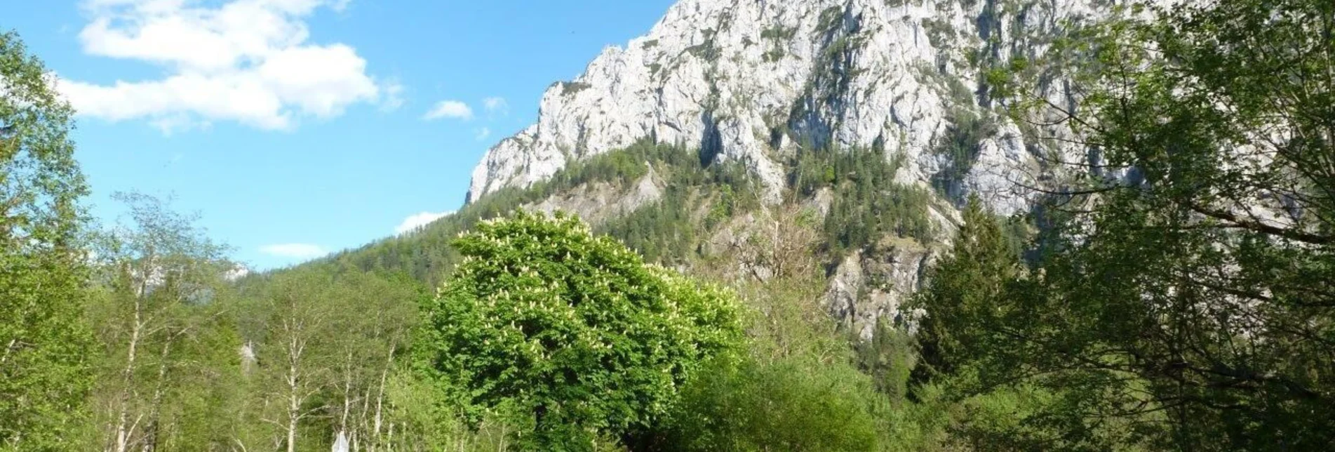 Wanderung Brunntal Wildalpen - Touren-Impression #1 | © Tourismusverband Wildalpen