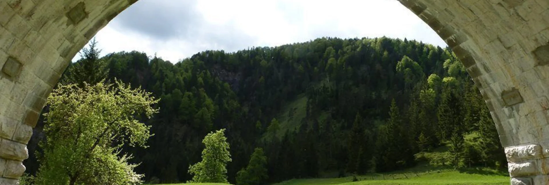 Mountainbike Wildalpen Rundfahrt - Touren-Impression #1 | © Tourismusverband Wildalpen