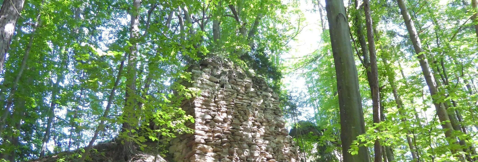 Wanderung Ruine Ahnherrn Rundwanderweg Nr. 2 - Touren-Impression #1 | © TV Südsteiermark