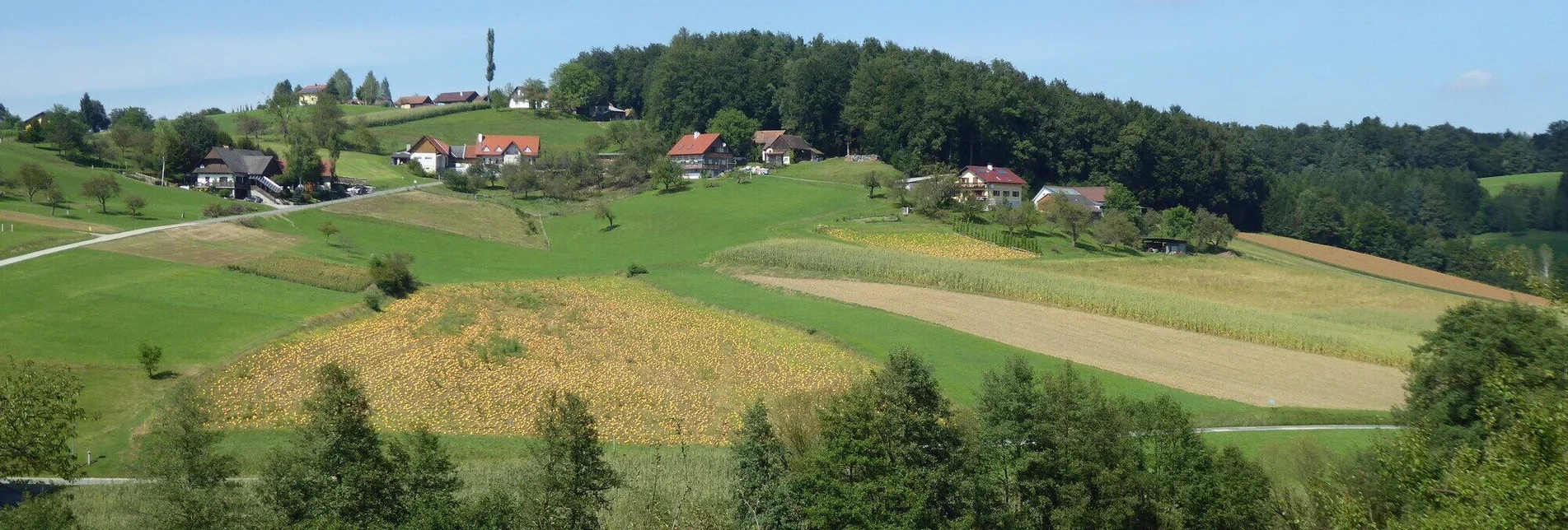 Wanderung Archäologischer Weg 2 rund um St. Martin im Sulmtal - Touren-Impression #1 | © TVB/Südsteiermark/Christian Heugl