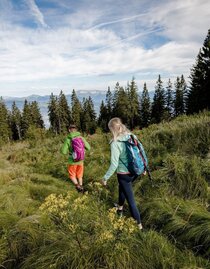 Wanderung Richtung Stanglalm | © Hochsteiermark | nicoleseiser.at | © Hochsteiermark