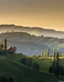 Der Naturpark Südsteiermark | © Steiermark Tourismus / Harry Schiffer | Harry Schiffer | © Steiermark Tourismus / Harry Schiffer