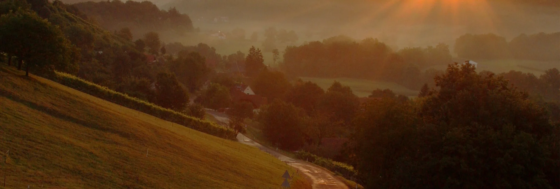 Panoramatouren/Themenstraßen Südoststeirische Hügelland-Weinstraße - Touren-Impression #1 | © TV Straden