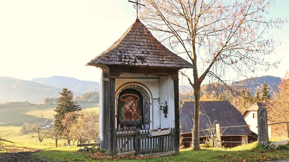 Hiking Route Rosenkogel over Sommerriedelweg - Touren-Impression #2.3 | © Weges OG