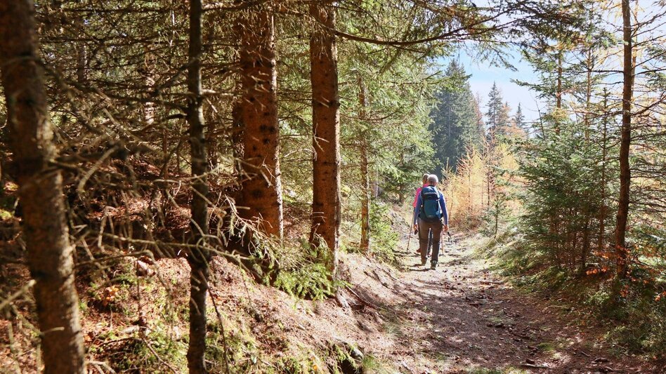 Hiking Route Rosenkogel over Sommerriedelweg - Touren-Impression #2.5 | © Weges OG