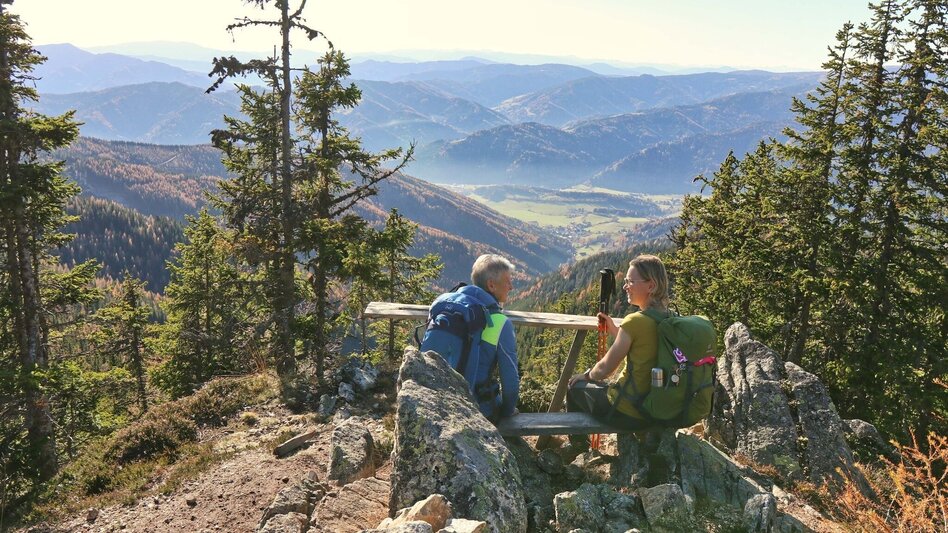 Hiking Route Rosenkogel over Sommerriedelweg - Touren-Impression #2.9 | © Weges OG