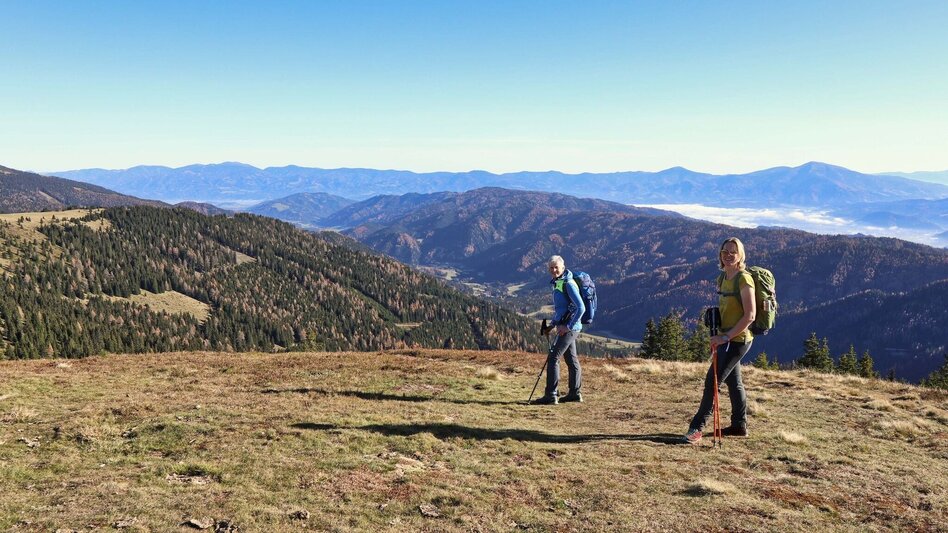 Hiking Route Rosenkogel over Sommerriedelweg - Touren-Impression #2.12 | © Weges OG